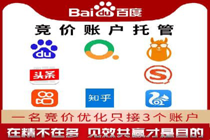 SEM运营推广策略：成功案例解析